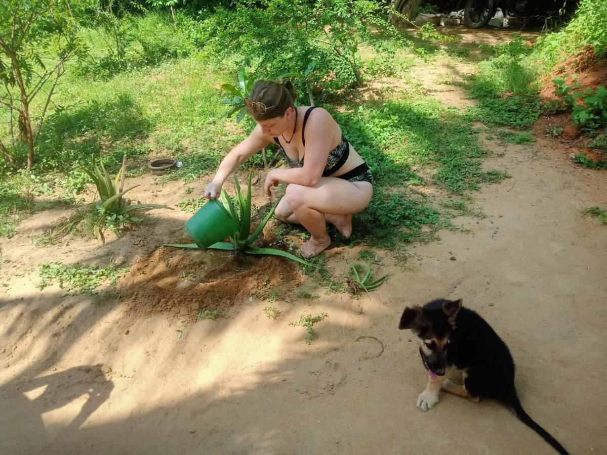 Beach Bungalow Yala Kirinda  Zewnętrze zdjęcie